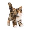 Tashette Bengal Cat - Douglas