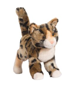 Tashette Bengal Cat - Douglas