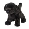 Bear Black Lab - Douglas